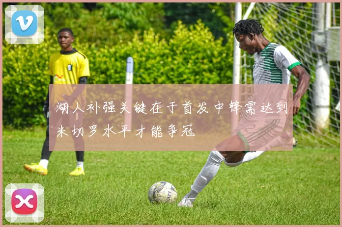 湖人补强关键在于首发中锋需达到米切罗水平才能争冠